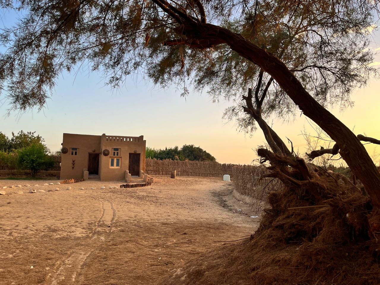 Desert safaris